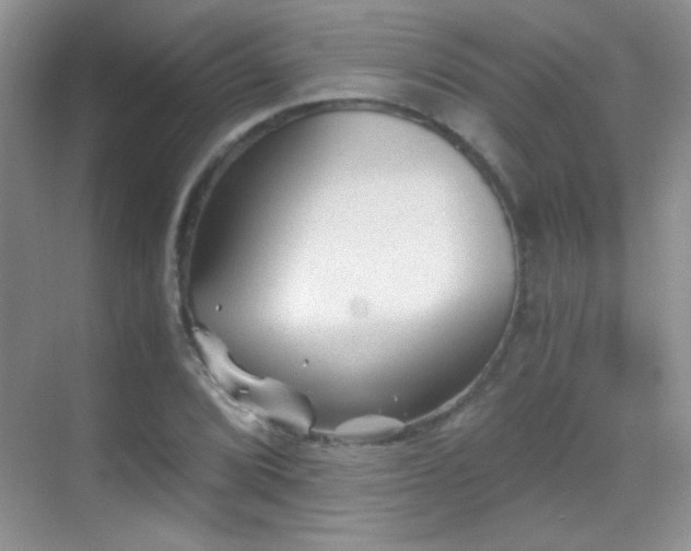 X0000069831072200605191134