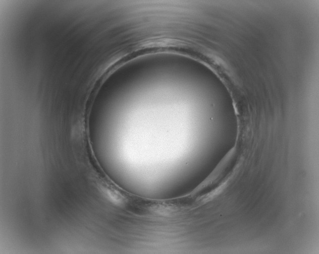 X0000069831073200605191134