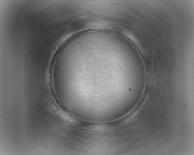 X0000069831074200605191134