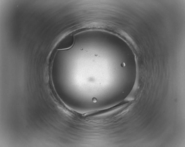 X0000069831075200605191134