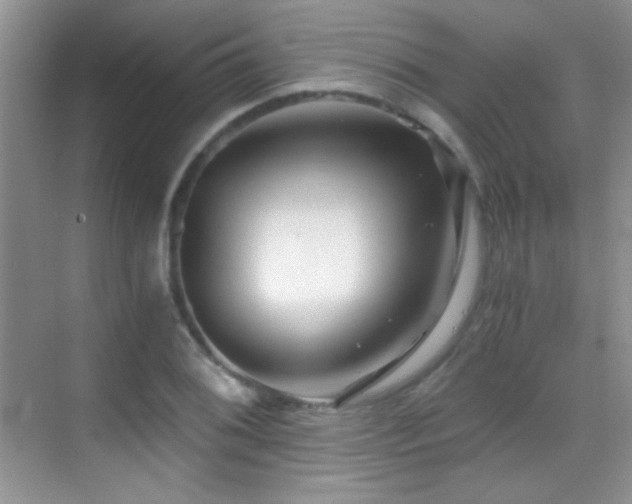 X0000069831076200605191134