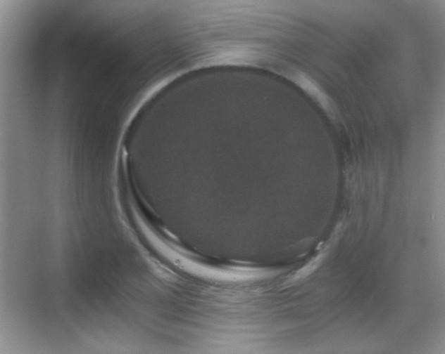 X0000069831077200605191134