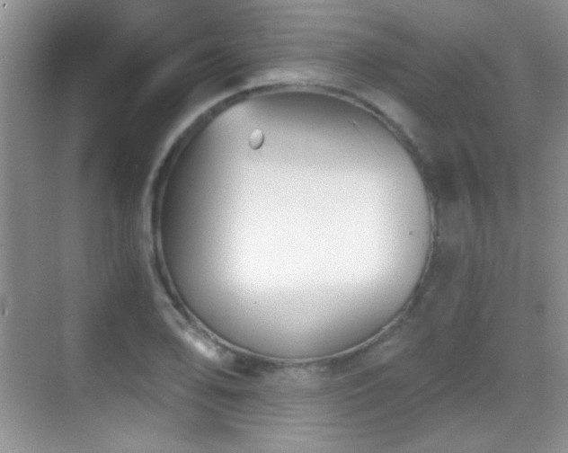 X0000069831078200605191133