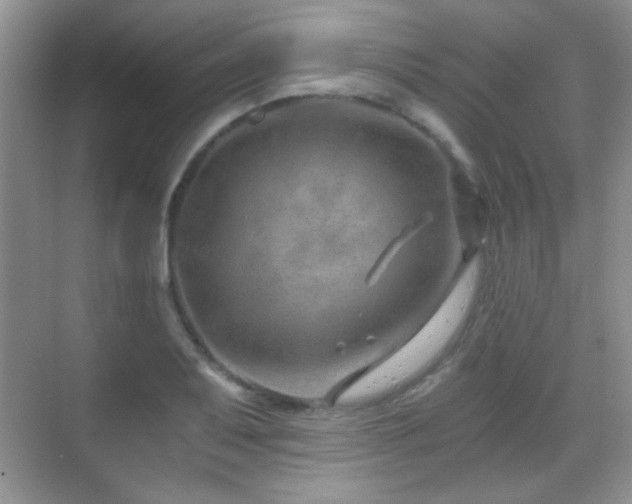 X0000069831079200605191133