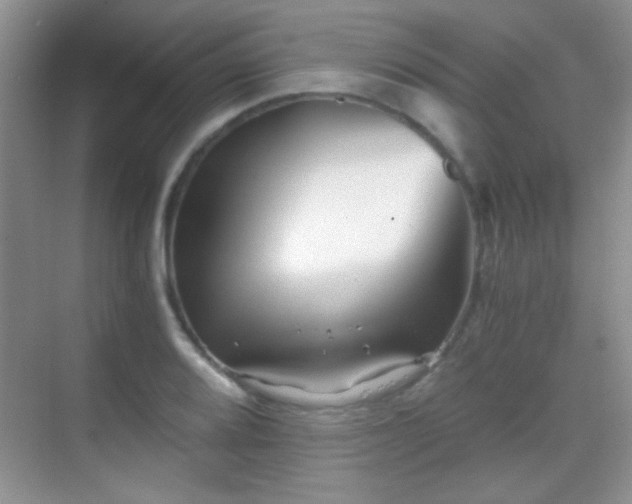 X0000069831080200605191133