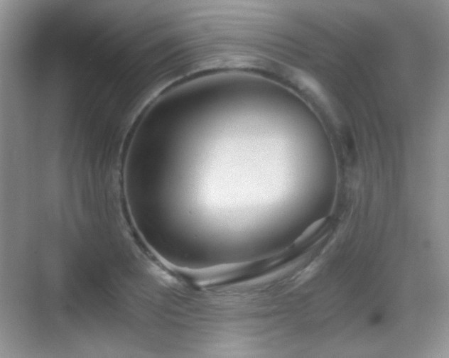 X0000069831081200605191133