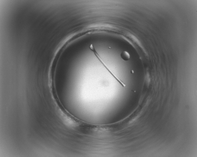 X0000069831082200605191133