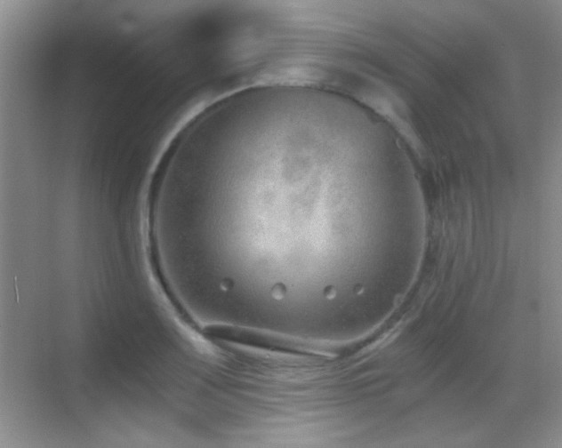 X0000069831083200605191133