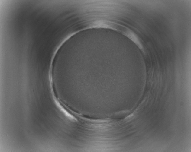 X0000069831084200605191133