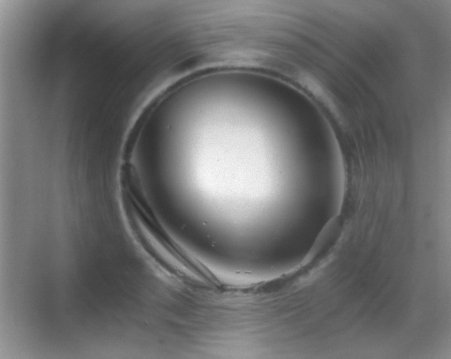 X0000069831085200605191133