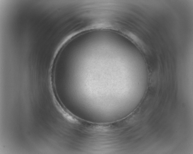 X0000069831086200605191133