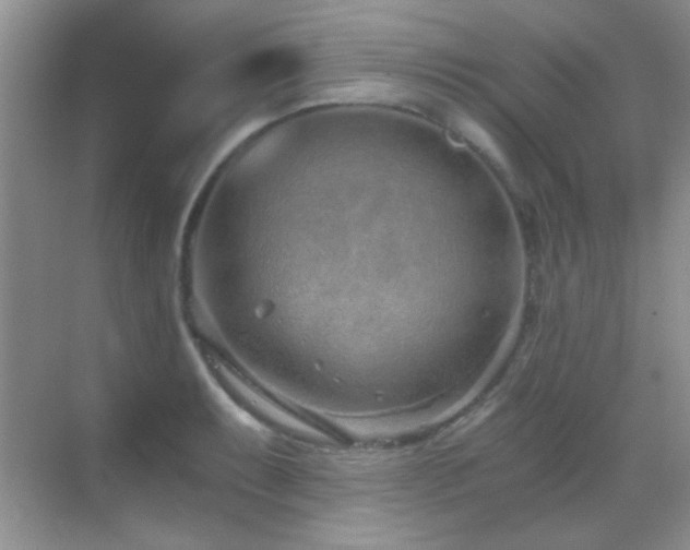 X0000069831087200605191133