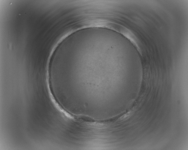 X0000069831088200605191133