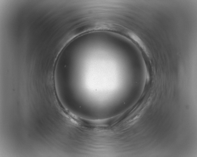 X0000069831089200605191133