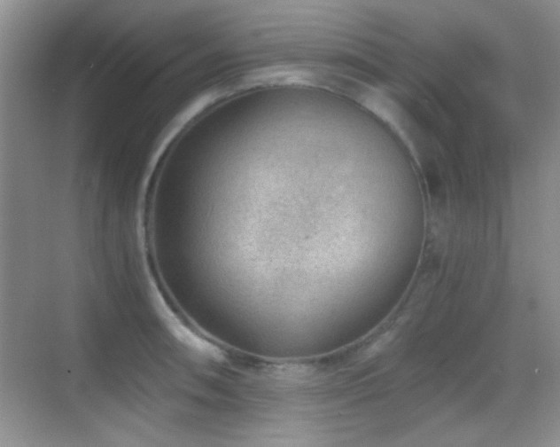 X0000069831090200605191133