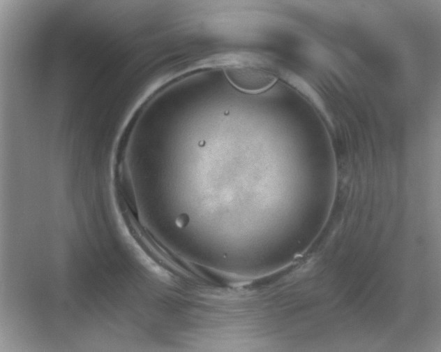 X0000069831091200605191133