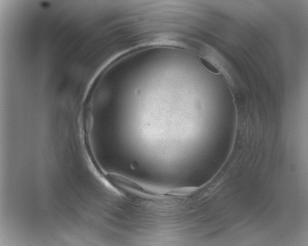 X0000069831092200605191133