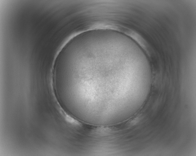 X0000069831094200605191133