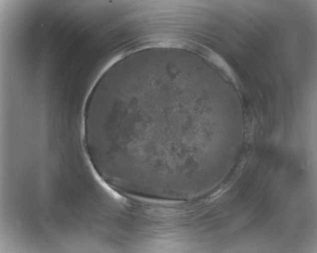 X0000069831095200605191133