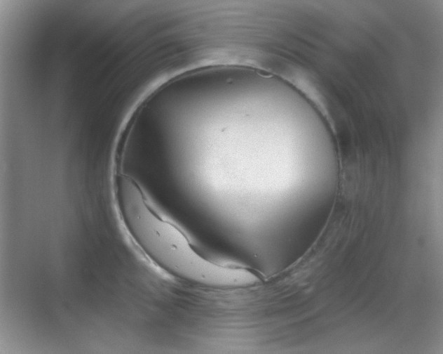 X0000069831096200605191133