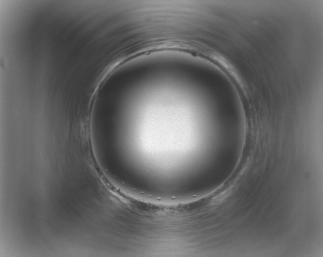 X0000069831097200605191133