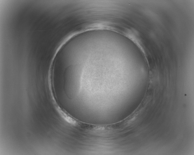 X0000069831098200605191133