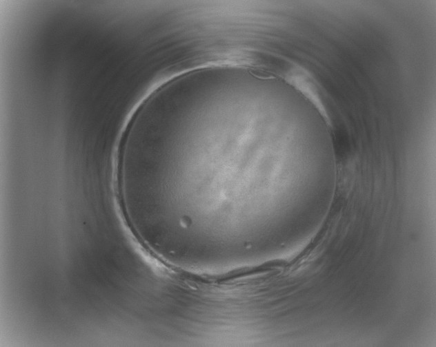 X0000069831099200605191133