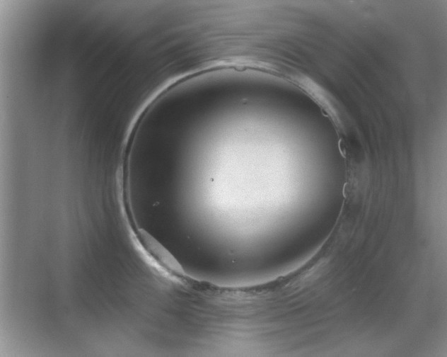 X0000069831100200605191133