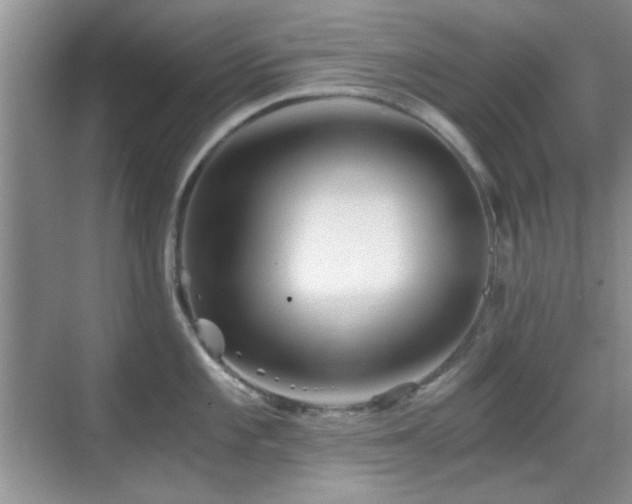 X0000069831101200605191133