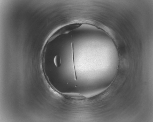 X0000069831102200605191133