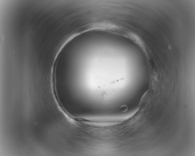 X0000069831103200605191133