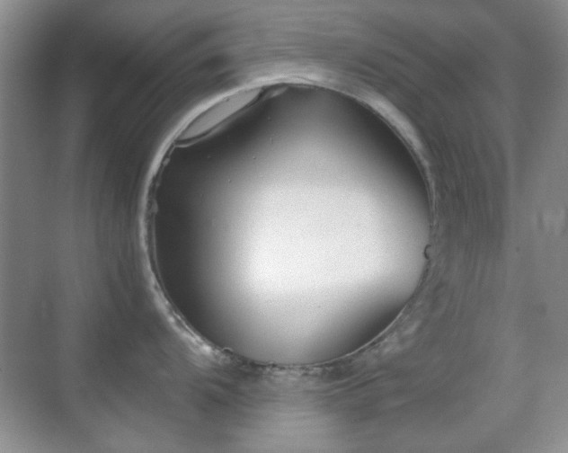 X0000069831104200605191133