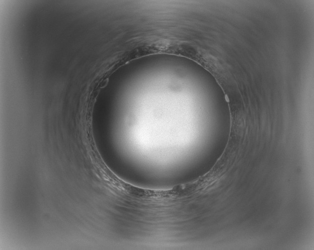 X0000069831105200605191132