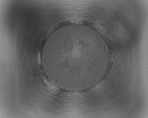 X0000069831106200605191132