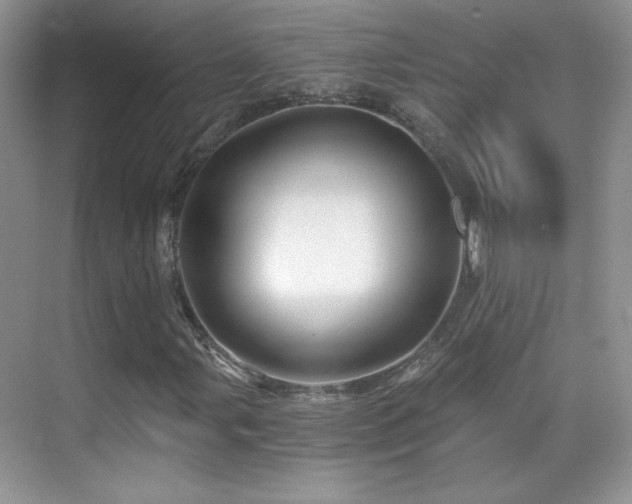 X0000069831107200605191132