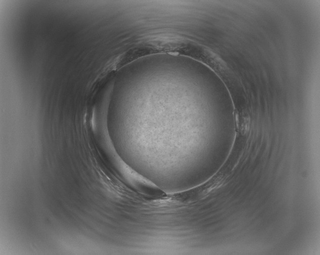 X0000069831108200605191132