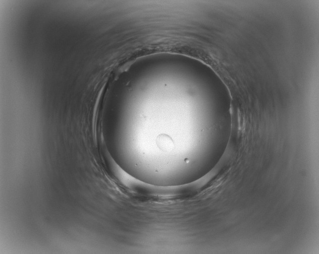 X0000069831109200605191132