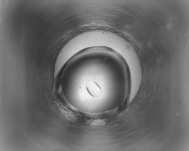 X0000069831110200605191132