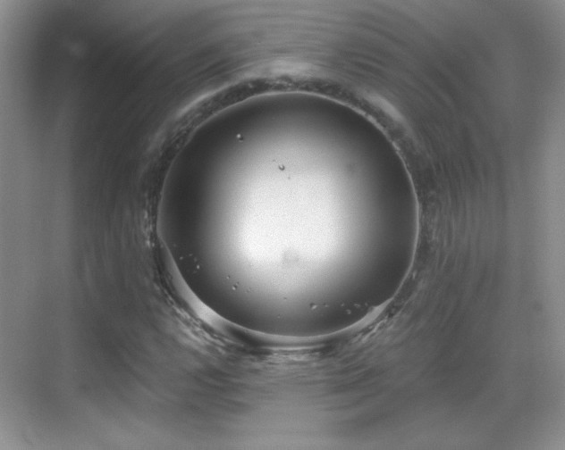 X0000069831112200605191132