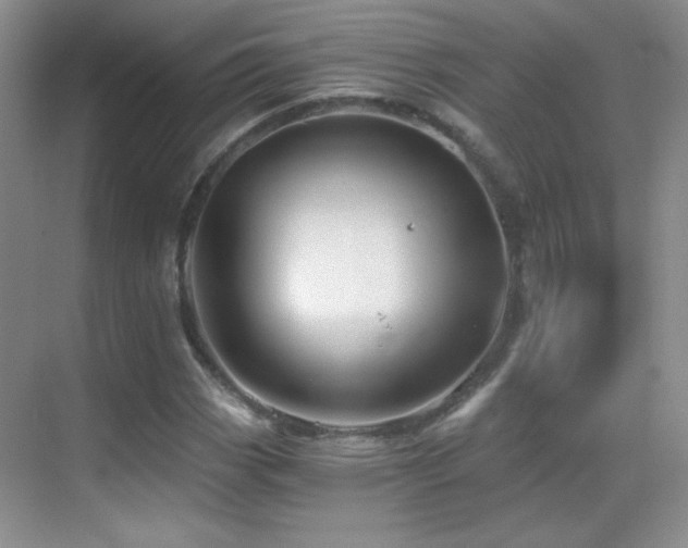 X0000069831113200605191132