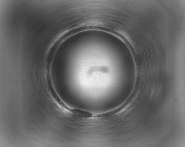 X0000069831115200605191132