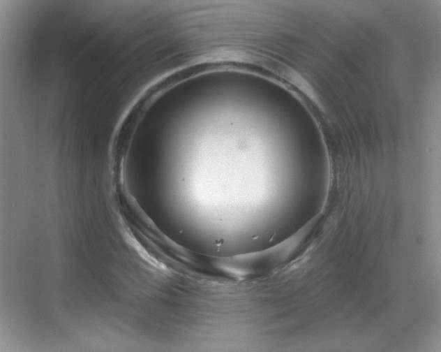 X0000069831116200605191132