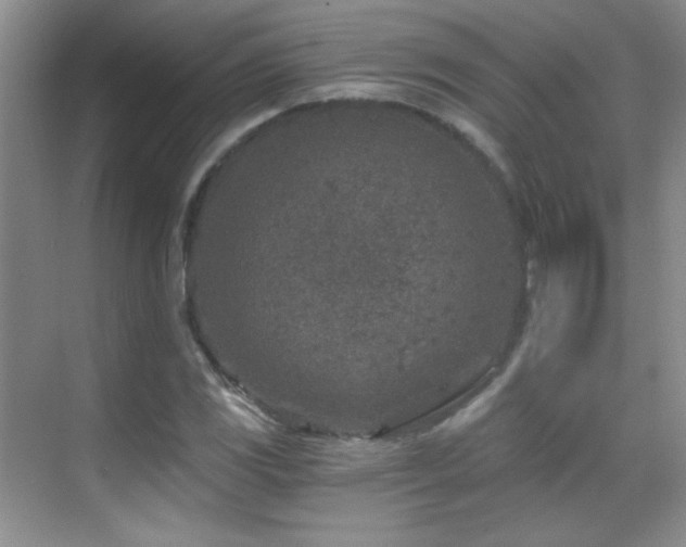 X0000069831117200605191132