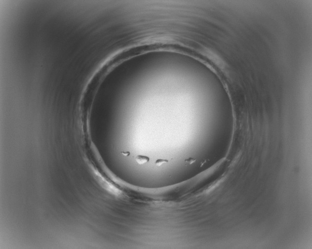 X0000069831118200605191132