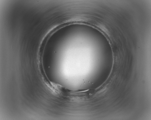 X0000069831119200605191132