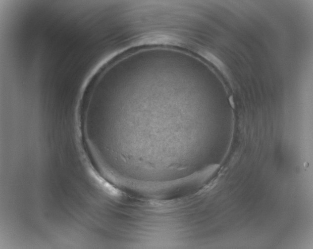 X0000069831120200605191133