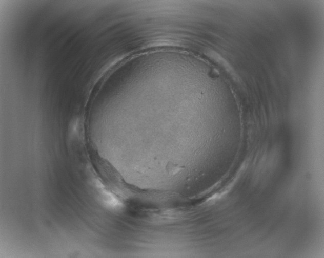 X0000069831121200605191133