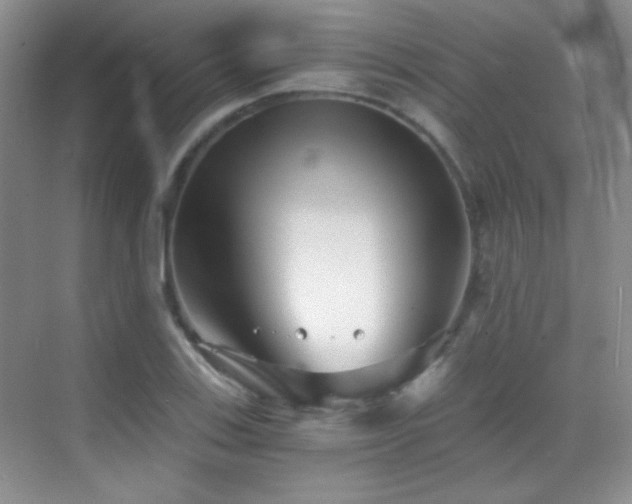 X0000069831123200605191133