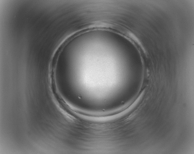 X0000069831124200605191133