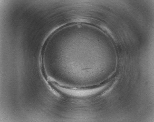 X0000069831125200605191133